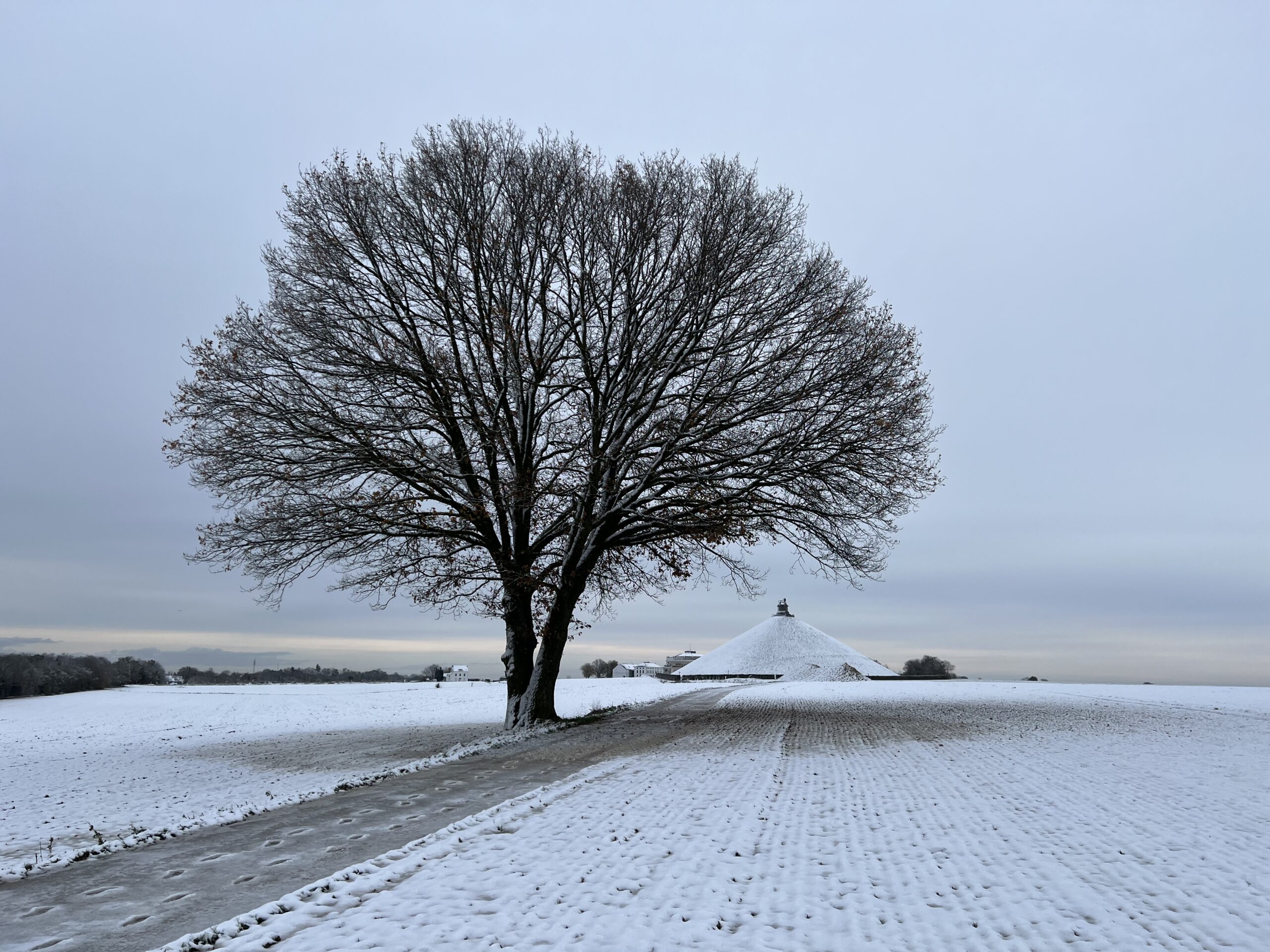 View from Mercer's ridge toward the Lion Mound, battlefield of Waterloo 1815, in the snow.