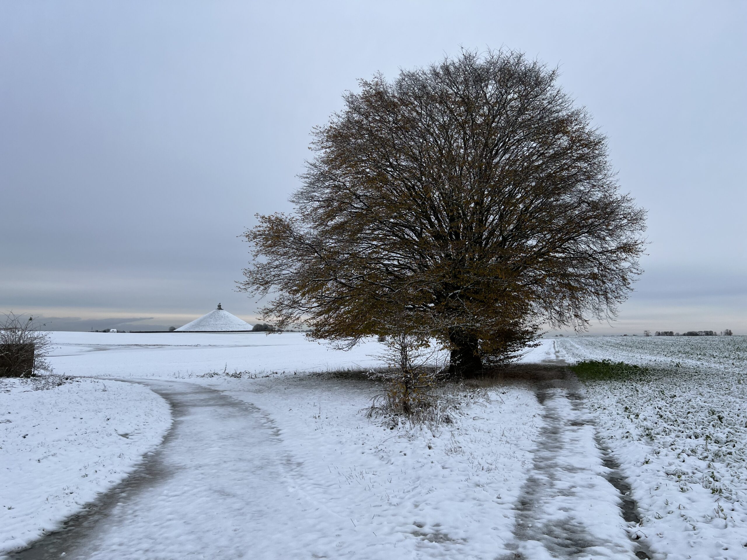 Snow clad battlefield of Waterloo, taken close to the corner of the Hougoumont garden wall, looking back toward the allied ridge and the Lion Mound.