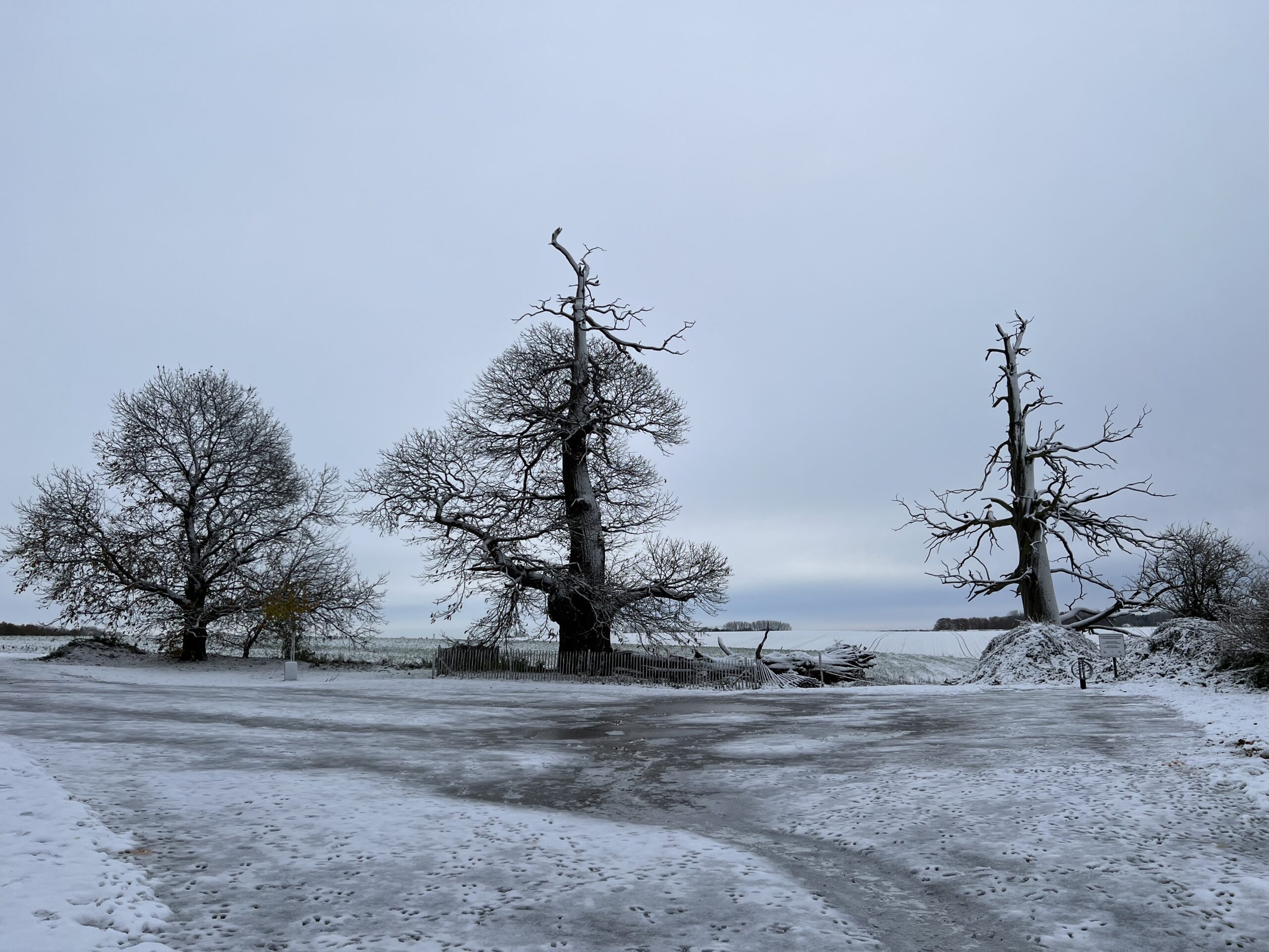 Pictured centre is the last living survivor of Waterloo 1815, standing proud amidst the ice and snow.