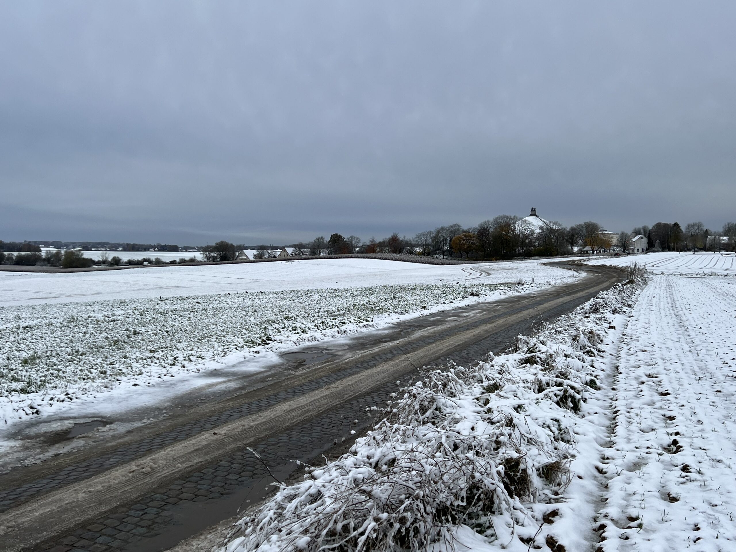 Snowy hedgerow reached by Marcognet's division just prior to the advance of the Royal North British Dragoons (Scots Greys).