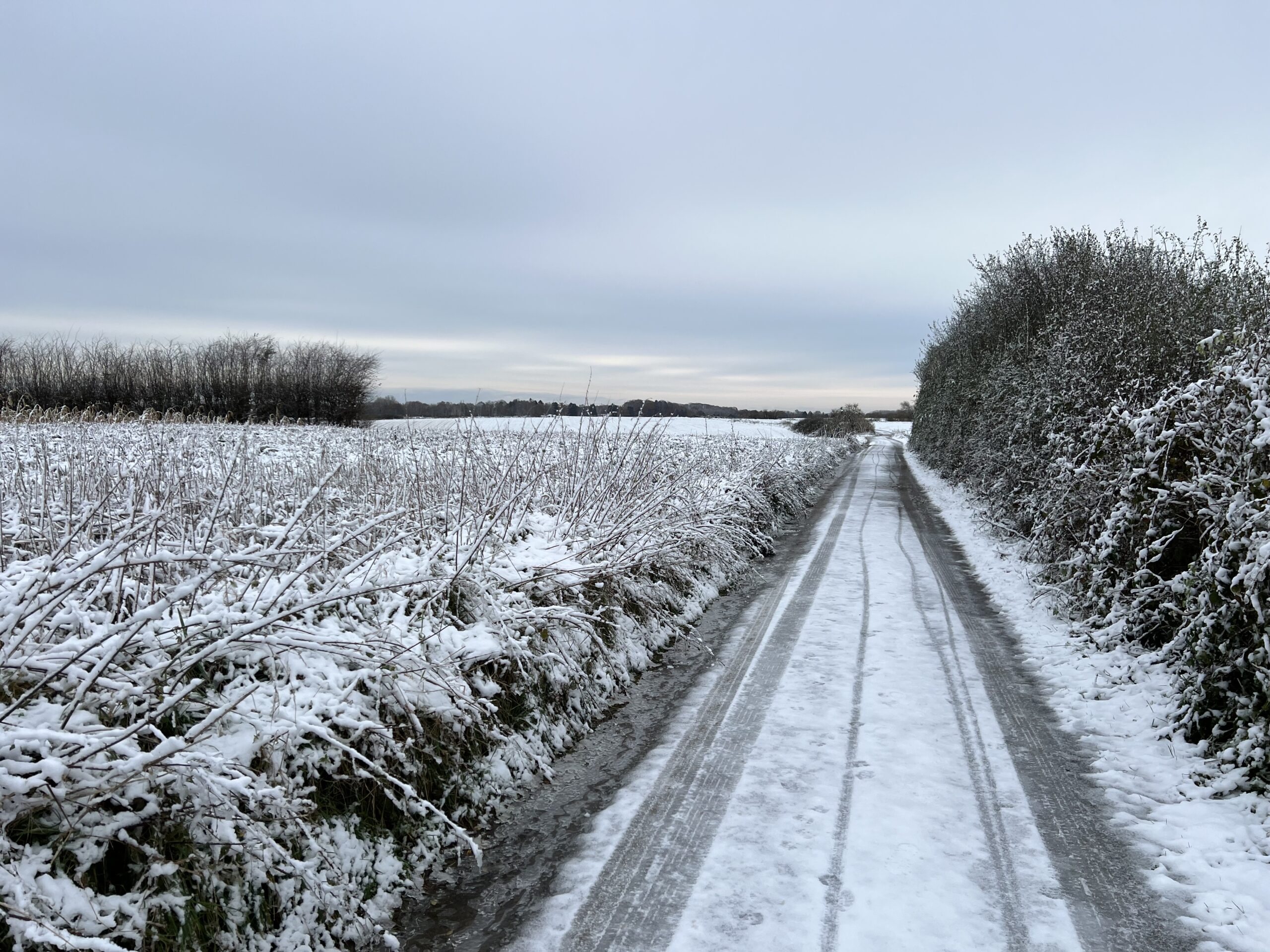 Snow covered track leading to the far left flank of Wellington's Waterloo ridge.