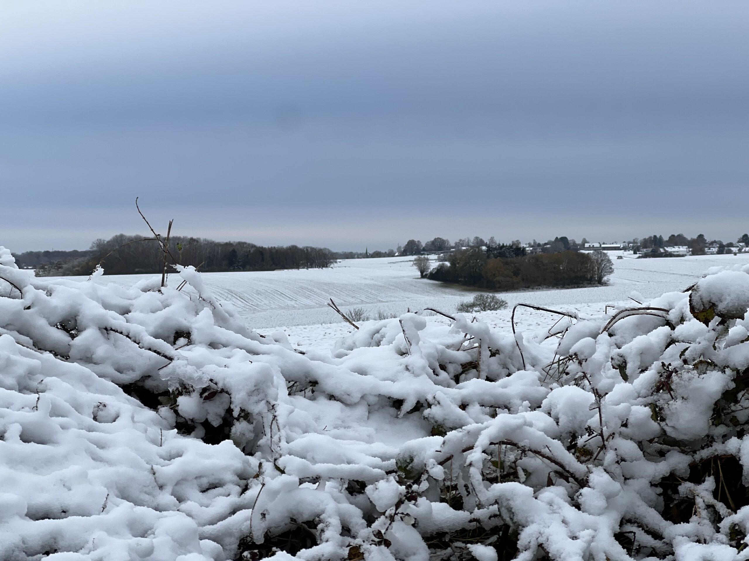 Snow scene of Waterloo battlefield toward Plancenoit, site of the actions of Durutte and Ponsonby in 1815.